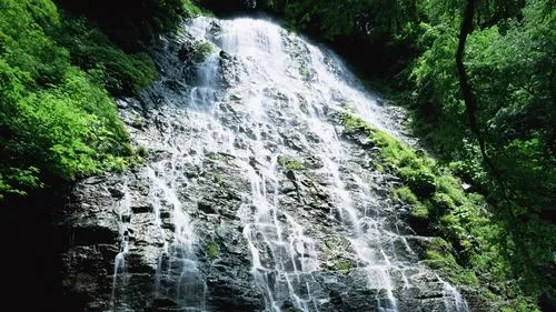 高端高质量智能